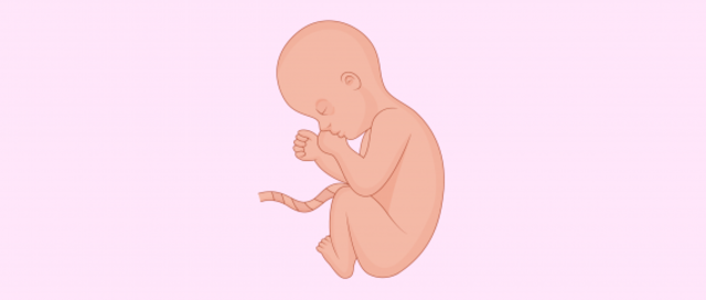 Octavo mes de embarazo