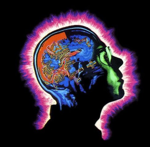 EL RACIONALISMO ECONOMICO