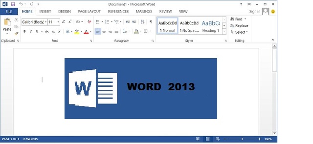 WORD  2013