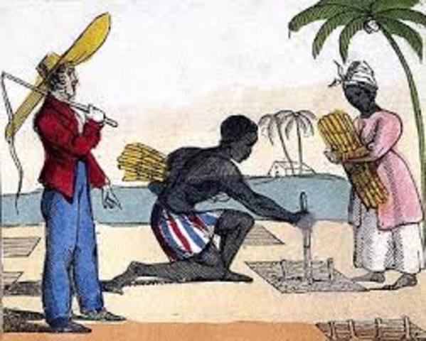 Descubrimiento del azúcar