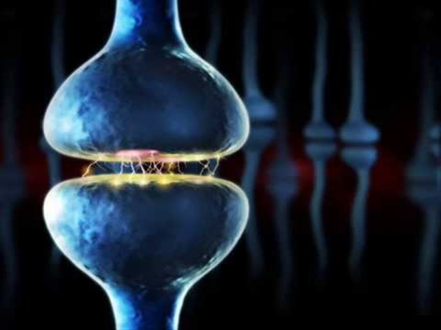 Agrupación neuronal