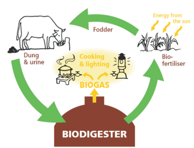 BioGas y sus avances
