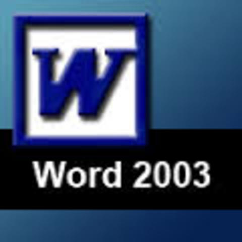 Word 2003