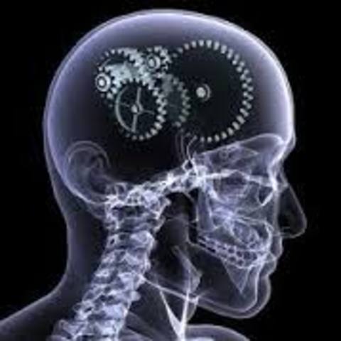 Skinner - mundo interior