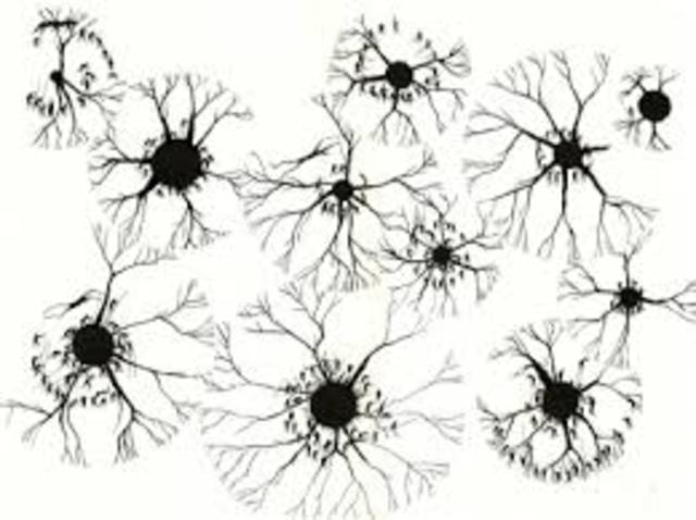Evaluación Psiconeurológica