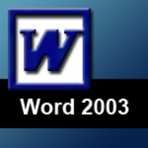Word 2003