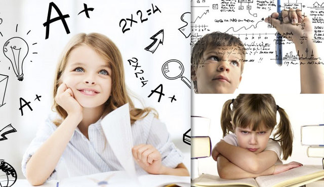 Evaluación del Funcionamiento Intelectual