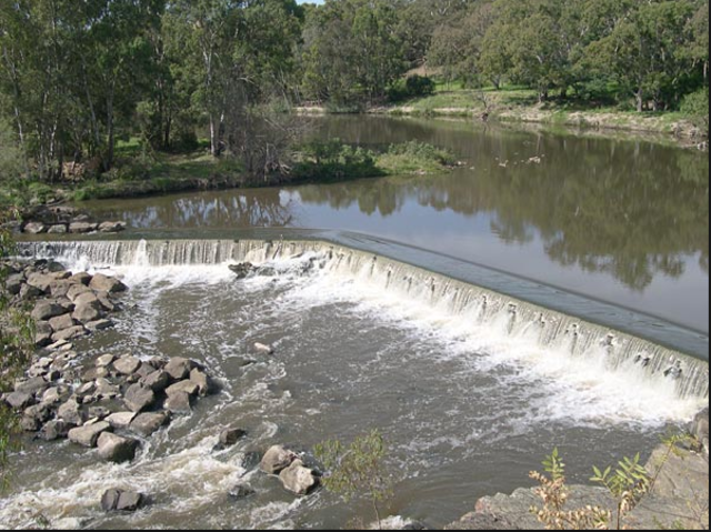 The weir and fish migration