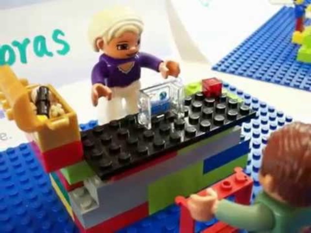 Metáfora de LEGO, Hodgins