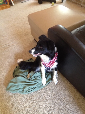 Black and White Thing