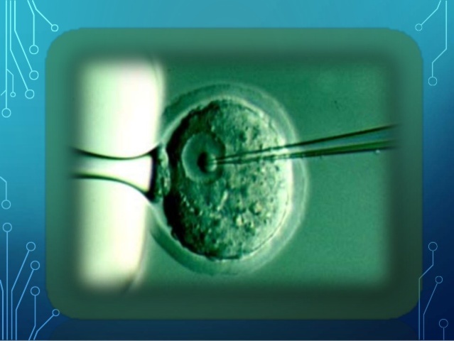 Primera clonacion a partir de células embrionarias.