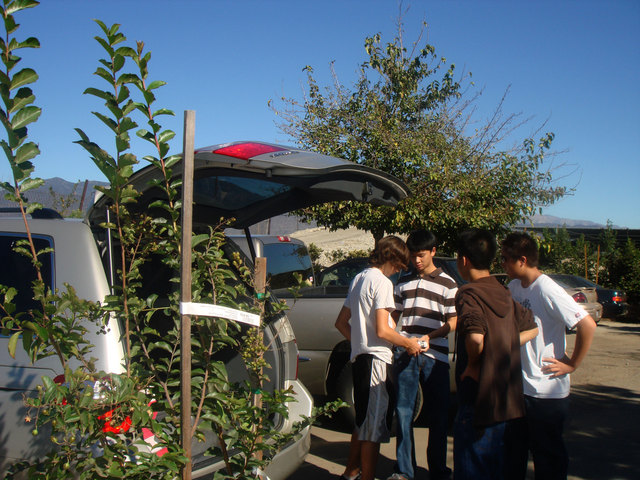 Surprise Thanksgiving Event