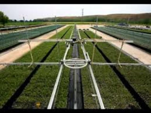 Ingeniería agrícola