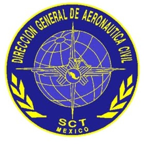 Surgimiento de la DGAC
