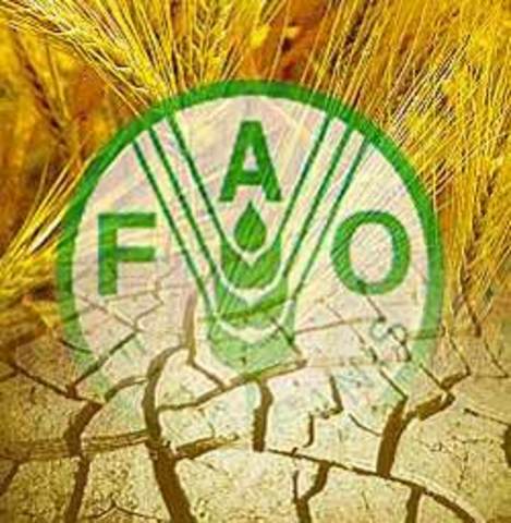 (FAO) La Organización de las Naciones Unidas para la Alimentación y la Agricultura