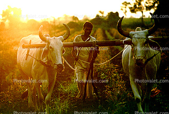 4th event (innovation)