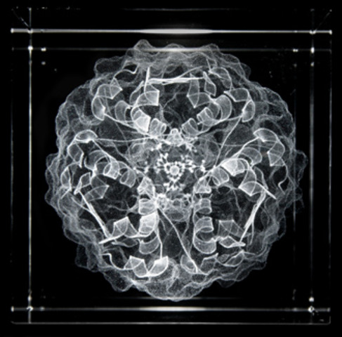 Discovery of Insulin