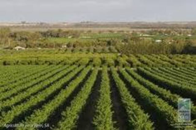 Industrial Revolution in Britan