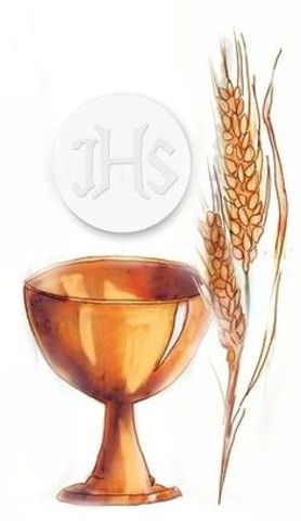 Recibe su primera comunión