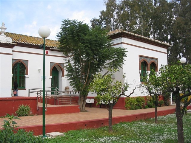 Terapia grupal con menores y progenitores mejora la atención en Unidad de Salud Mental Infantil y Juvenil del Clínico