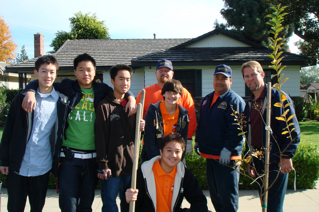 CUTE! Plants Trees on 8th Ave.