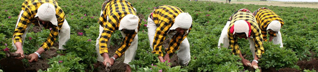 Se hace realidad el establecimiento del primer mecanismo financiero comunitario de la CAN, al aprobar el Reglamento del Fondo para el Desarrollo Rural y la Productividad Agropecuaria.