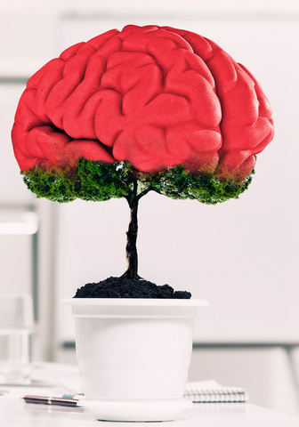 Valor del conocimiento