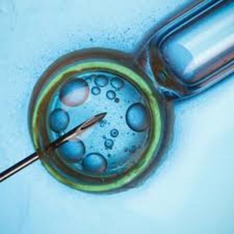 Primer bebé que nacio de una FIV