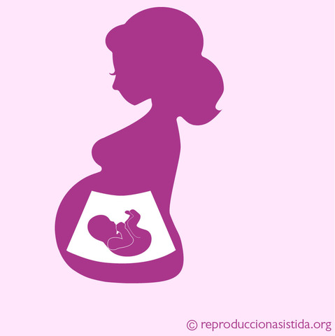 DESARROLLO PRENATAL