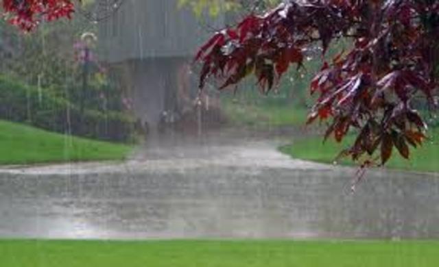 Todos aprovechando la lluvia
