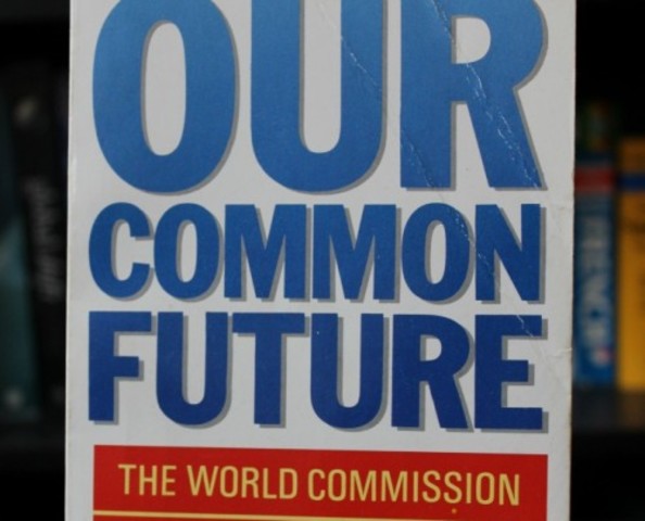 Se lanza informe "Nuestro Futuro Común"