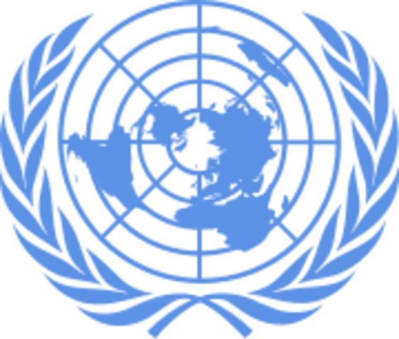 Organización de las Naciones Unidas