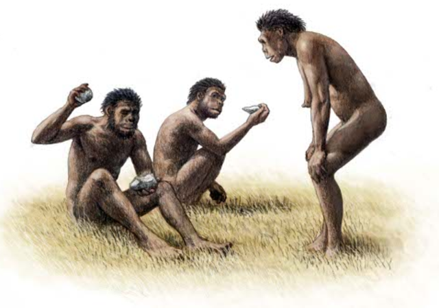 comunicación por sonido.