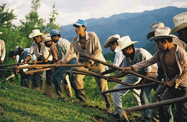 Modificación del artículo 123