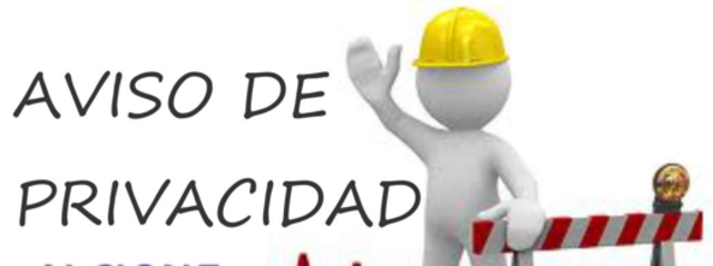 Lineamientos de Protección de Datos Personales