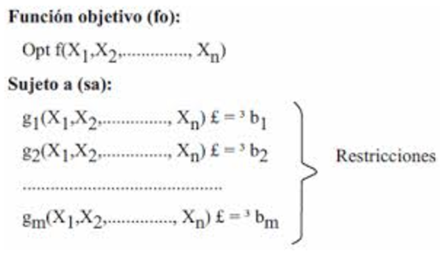 Programación matemática.