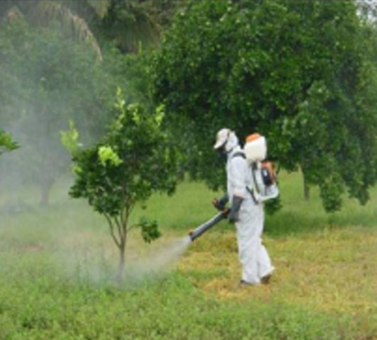 Conferencia de las Naciones Unidas sobre Medio Ambiente y Desarrollo (UNCED).