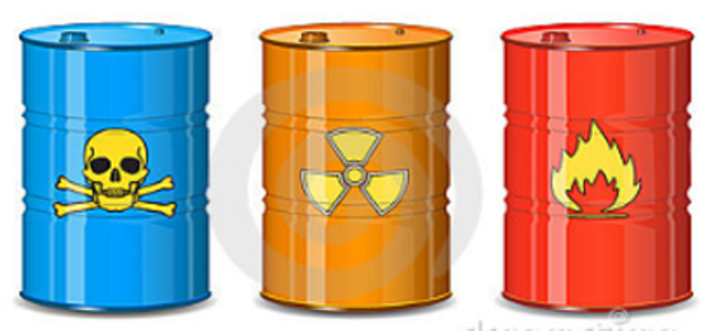 Declaración Latinoamericana sobre Organismos Transgénicos.