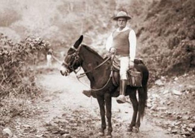 exportación de cafe