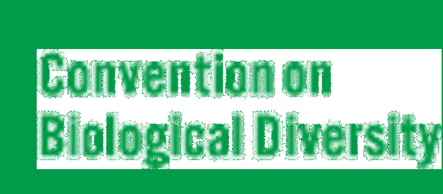 Cumbre de la Tierra en Río de Janeiro