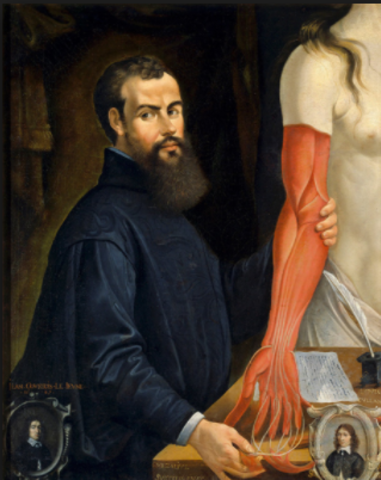 Andreas Vesalius