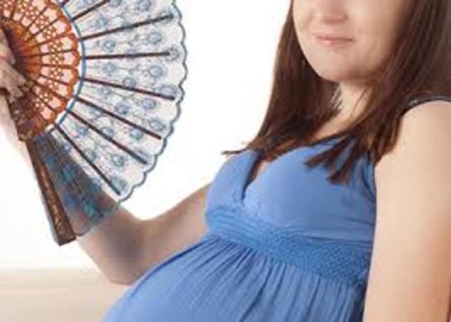 producción progesterona