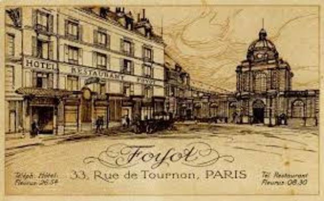 Education/ Experience