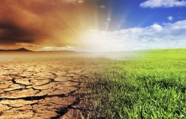 Programa de acción en materia de medio ambiente