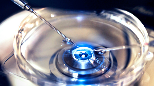First In Vitro Fertilized Baby Born