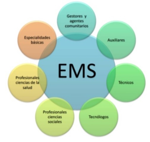 Equipos multidisciplinarios para enfoques de problemas de sistemas complejos