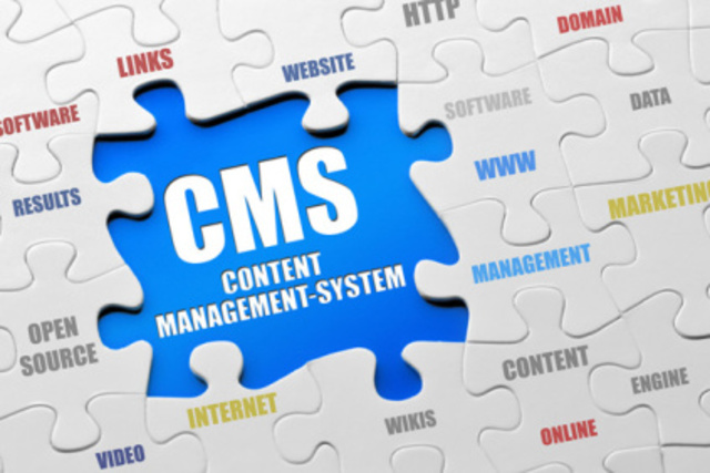 PRIMER CMS