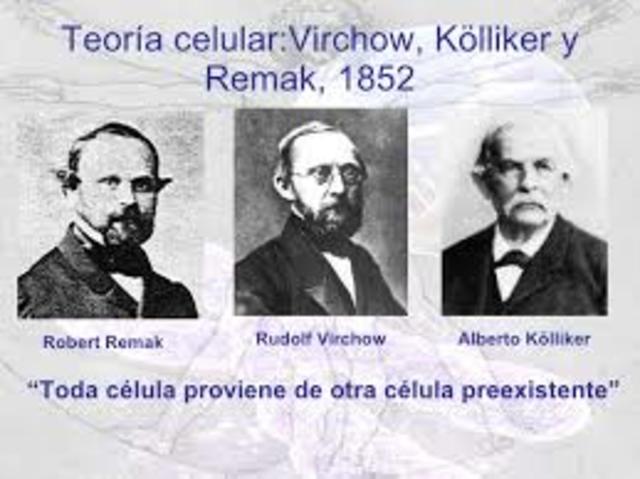 VIRCHOW, REMAK Y KOLLIKER