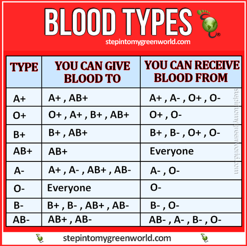 Blood Types Discovered