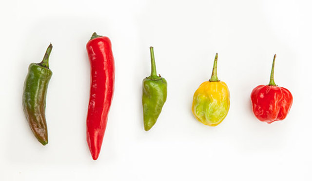Chili Peppers
